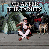 Tax Levy GIF