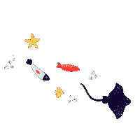 Swim Swimming Sticker by Raja – škola športu