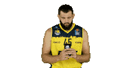 Ewe Baskets Basketball Sticker by EWE Baskets Oldenburg