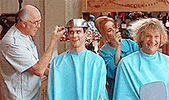 dumb and dumber GIF