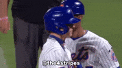 New York Mets Baseball GIF