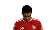 Fc Bayern Football Sticker by Bundesliga