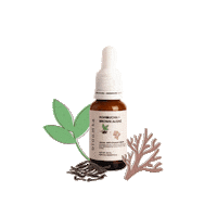 Kombucha Bloomers Sticker by The Bath Box