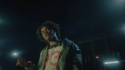 wild irish roses GIF by Smino
