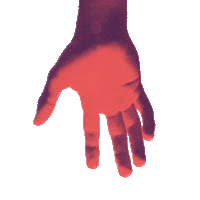 Jesus Never Will Sticker by Life.Church