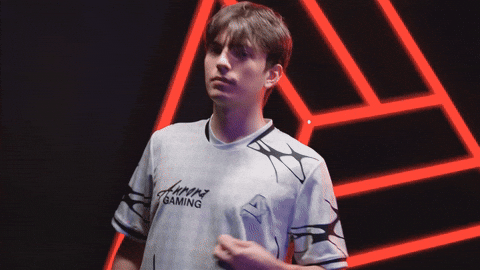 Fan Rosa GIF by Aurora Gaming