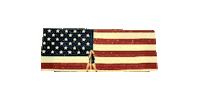july 4th party Sticker by Miley Cyrus