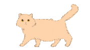 Happy Cat Sticker