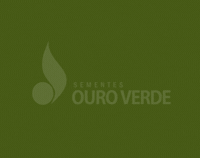 SementesOuroVerde ouroverde sementesouroverde GIF