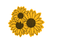Flowers Sunflower Sticker