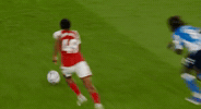 Arsenal Skelly GIF by memes