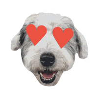 sandlotco love cute heart dog Sticker