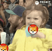 Shiba Inu Crypto GIF by ProBit Global