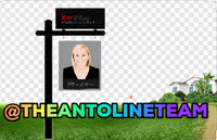 Theantolineteam theantolineteam GIF
