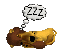lion sleeping STICKER