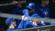 Anthony Santander Baseball GIF by Toronto Blue Jays