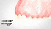 CHROMEGuidedSMILE  GIF