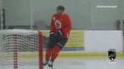 Hockey Nhl GIF by Florida Panthers