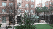 Education Vocabulary GIF by DIIMSA Stock