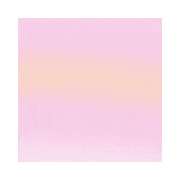 Sunset Watermelon Sticker by DRINK FELLR