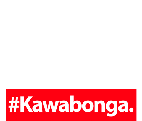 Kawabonga-Party giphyupload party hiphop trap Sticker
