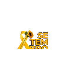 Setembro Valenca Sticker by Litografia Valença