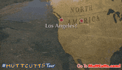 premiere mutt cutts GIF by Dumb and Dumber To