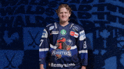 Celebration Hockey GIF by Iserlohn Roosters