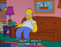 Season 2 Episode 13 GIF by The Simpsons