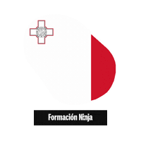 Flag Bandera Sticker by Formación Ninja