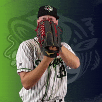 GoStripers gwinnett stripers allard GIF