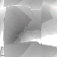 b&w art GIF by Michel Poisson