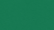 Volleyball Rollwave GIF by GreenWave