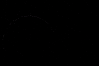 Thefreedomcircle GIF by The Kurz Team