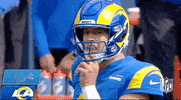 Los Angeles Rams Football GIF by NFL