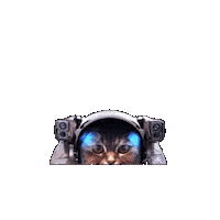 Space Cat Sticker by BeeCat Creative