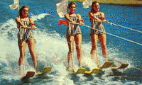 Lake Of The Ozarks GIF by SwiftandCoRealty
