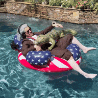 Independence Day Summer GIF