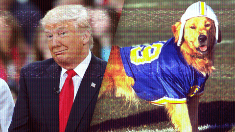 GIF by Mashable