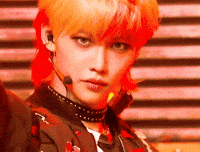 Stray Kids Skz GIF