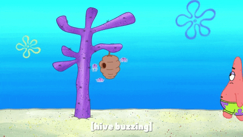 episode 1 GIF by SpongeBob SquarePants