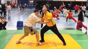 Martial Arts Taichi GIF by Shoreline Tai Chi