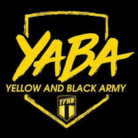 tremblayhandball handball tremblay yaba GIF