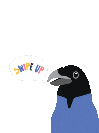 MyGastown bird vancouver crows yvr Sticker