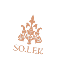 Solekcosmetics Sticker by SO.LEK