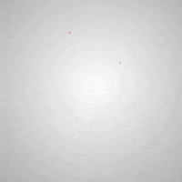 Crypto GIF by Socialverse app