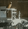 poop GIF