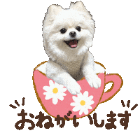 パルレオ Sticker
