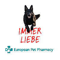 Sv Epp Sticker by Europeanpetpharmacy
