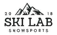 Logo Snow Sticker by SkiLab